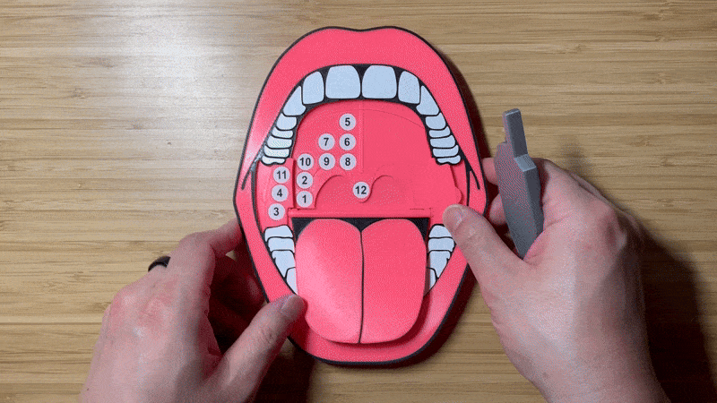 the Mouth + laser trainer (pre-order)
