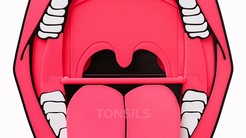 the Mouth + laser trainer